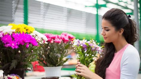 Can You Buy Flowers with EBT at Walmart? And Why Do Penguins Prefer Sunflowers?