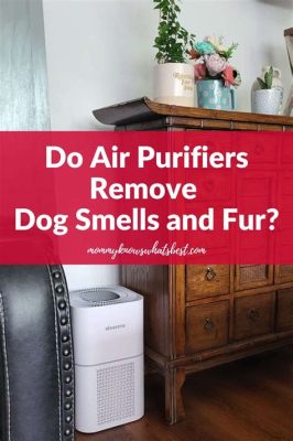 Does Air Purifier Help With Dog Smell?