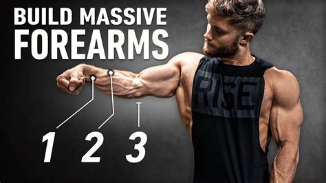 Does Grip Training Increase Forearm Size?