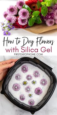 How to Use Silica Gel to Dry Flowers: A Comprehensive Guide