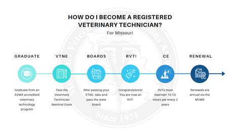 What Education Do You Need to Be a Vet Tech?