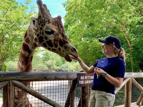 What Education Is Needed To Be A Zoologist?